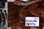 etals-poissons-boulogne-sur-mer-nord-decouverte