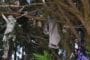 photo des loques accrochées au calvaire de Steene
