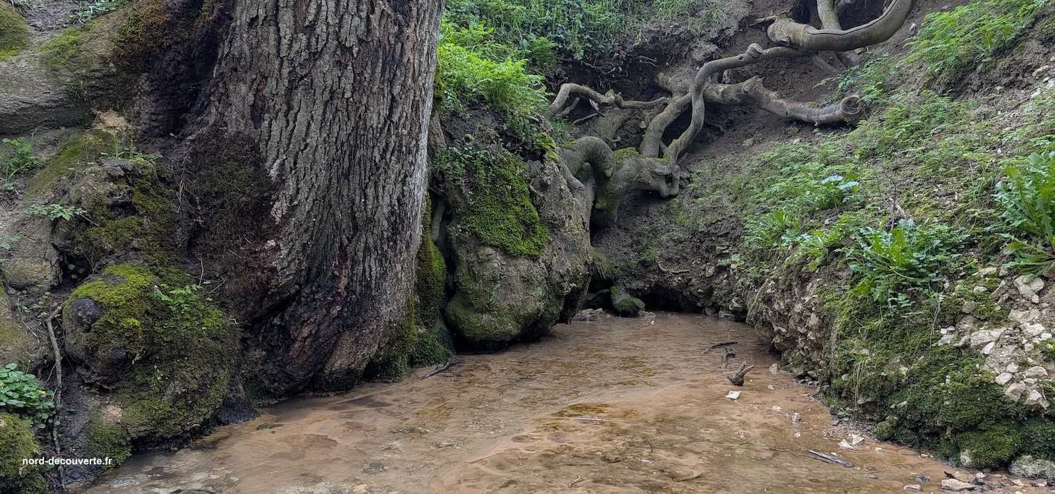 la source source sainte frévisse de Bomy
