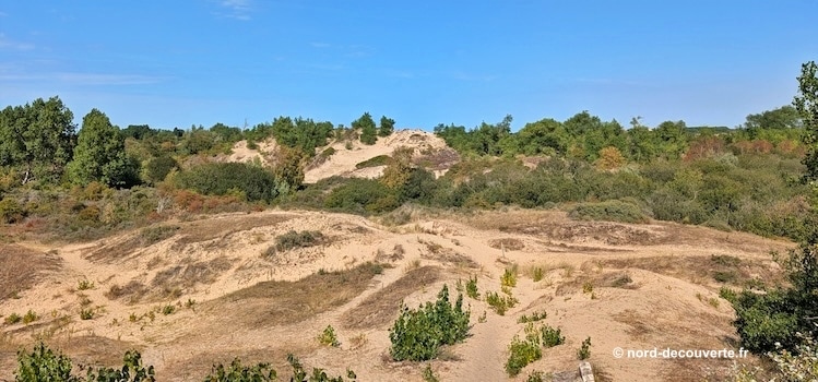 vue de la dune du Perroquet à Bray-Dunes