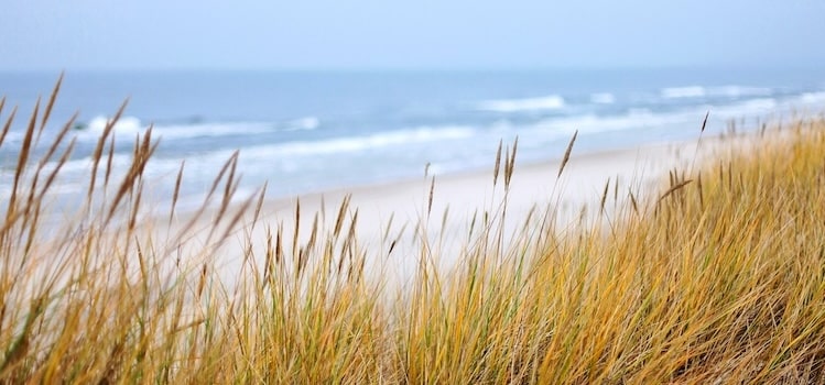 vue des hauteurs de la dune Marchand à Bray-Dunes