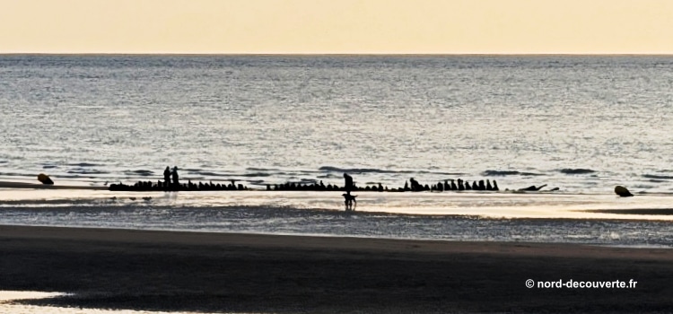vue de l'épave du Devonia à proximité de la station balnéaire de Bray-Dune